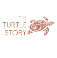 The Turtle Story