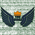 The wings india