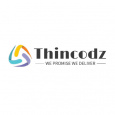 Thincodz IT solution 