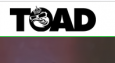 TOAD
