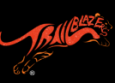 Trailblazers