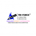 Tri-Force Consulting Services Inc.