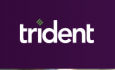 Trident Property