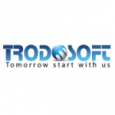 Trodosofts | Web development services