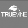 Truevine Web Design