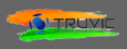 Truvic Online