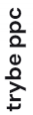 Trybe PPC