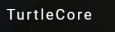 Turtlecore Consultancy Services