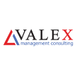 Valex Management Consulting