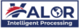 Valor Intelligent Processing