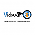 Vidoukin Group