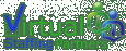 Virtual Staffing Partners