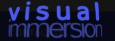 Visual Immersion