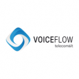 Voiceflow
