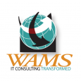 WAMS, Inc.