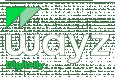 WAYZ Digitally