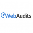 Web Audits