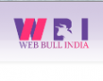 Web Bull India