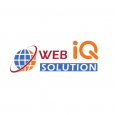 Web-IQ Solution