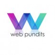 Web Pundits