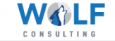 Wolf Consulting LLC