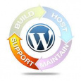 Wordpress Expert Guru
