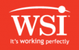  WSI