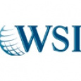 WSI - Optimized Web Solutions