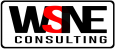 WSNE Consulting
