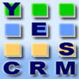 YES CRM Consultant