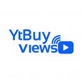 YTBUYVIEWS LLC