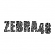 Zebra48