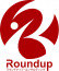 Roundup Web Consulting