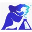Wizard Creative Labs