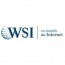 WSI Web Enhancers
