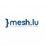 Mesh