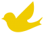 Canary Software