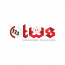 123Total Web Solutions