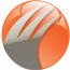 Pronix Inc