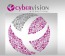 Cybervision International