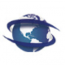 Seta International
