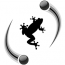 Quantenfrosch