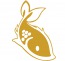 Taksa Technology Solutions