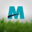 ItMedia