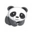 Pandasofts