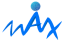 Max Vision Solutions