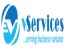 vServices LTD