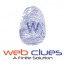 WebClues Infotech