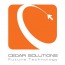 Cedar Software Technologies