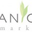 Organic SEO Marketing